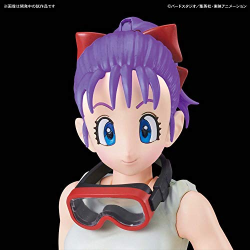 Bulma Bulma's Variable Type No.19 Bike Figure-rise Mechanics Dragon Ball - Bandai
