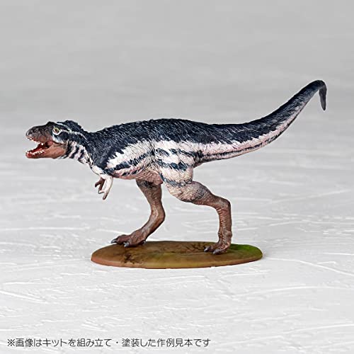 ARTPLA Researcher & Tyrannosaurus Set
