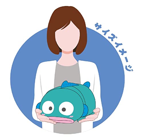 SR-46 Sanrio Characters Potekoro Mascot (M Size) G Hangyodon