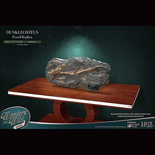 Star Ace Toys Wonders of the Wild Series Dunkleosteus Fossil Replica