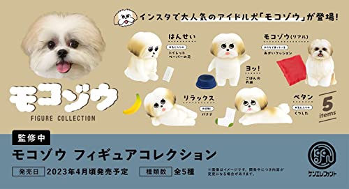Mocozo Figure Collection Box