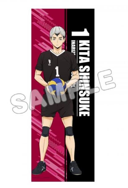 "Haikyu!!" B2 Half Tapestry Kita Shinsuke