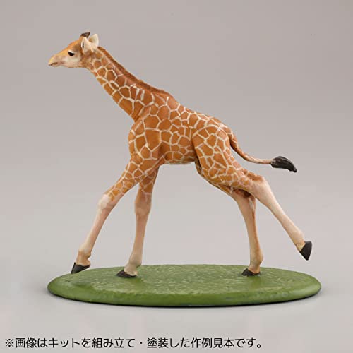ARTPLA Keeper & Infant Set
