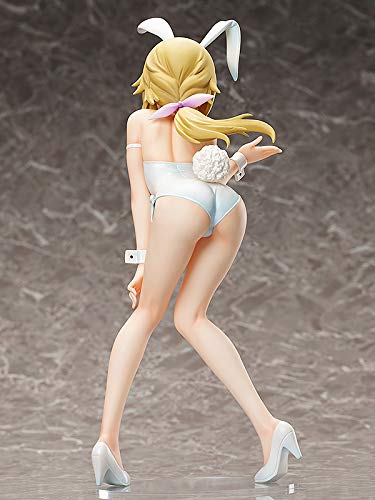 "Infinite Stratos" Charlotte Dunois Bare Legs Bunny Ver.