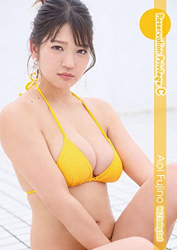 Aoi Fujino Vol. 2 Trading Card