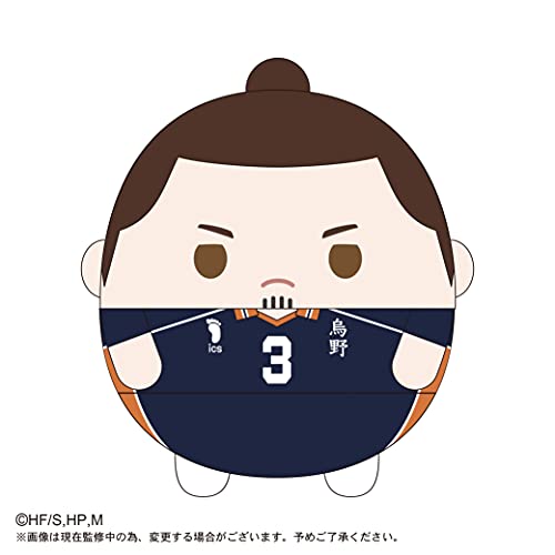 HQ-21 "Haikyu!!" Fuwakororin Big 3 C Azumane Asahi