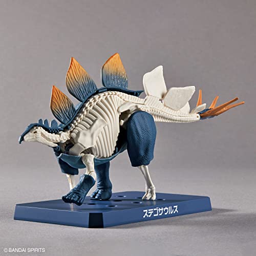 New Dinosaur Plastic Model Brand Stegosaurus