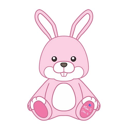 Seishun Buta Yaro wa Bunny Girl-senpai no Yume wo Minai Series Sakurajima Mai Birthday Anniversary Rabbit Plush