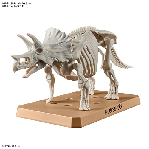 New Dinosaur Plastic Model Brand Triceratops