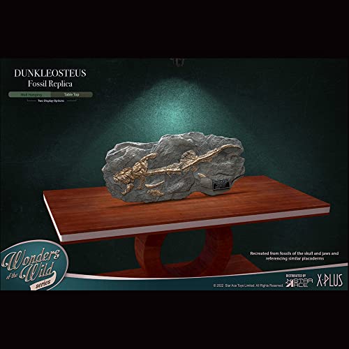 Star Ace Toys Wonders of the Wild Series Dunkleosteus Fossil Replica