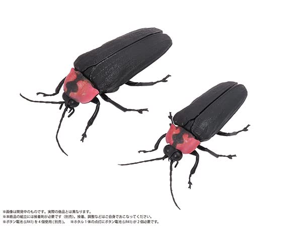 Genji Firefly (Female & Male Pair)