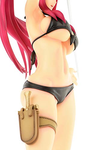 "Fairy Tail" Erza Scarlet Swimwear Gravure Style