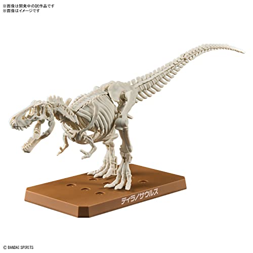 New Dinosaur Plastic Model Brand Tyrannosaurus