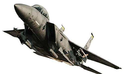 F-15E Strike Eagle (Garuda 1 Version)-1/72 scale-Creator Works Ace Combat 06: Kaihou e no Senka-Hasegawa