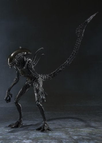 Alien Warrior S.H.MonsterArts Alien Vs Predator - Bandai