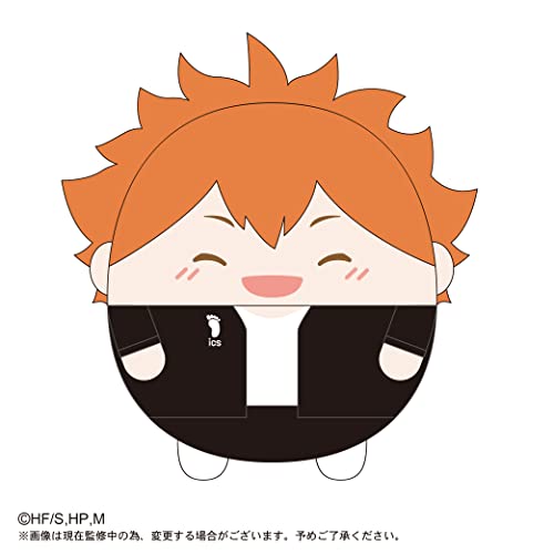 HQ-29 "Haikyu!!" Fuwakororin Big Special A Hinata Shoyo