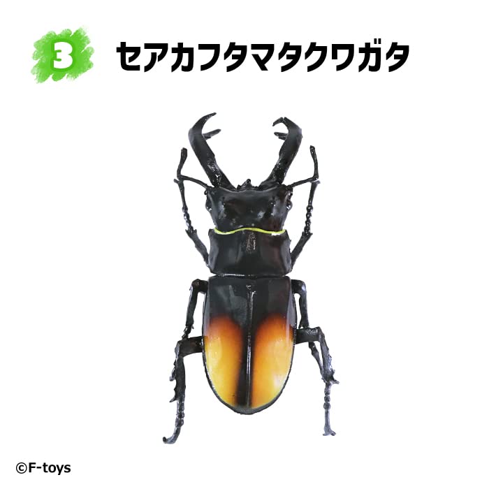 Beetle & Stag Beetle Hunter Kabutomushi x Kuwagata (June, 2023 Edition)