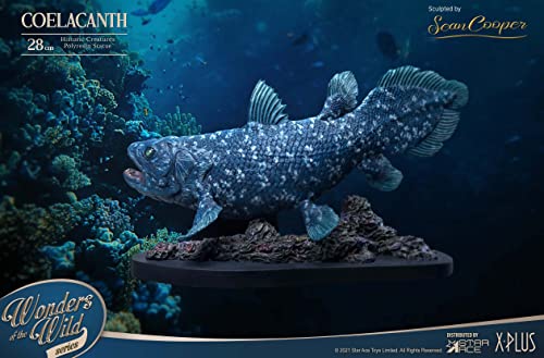 Star Ace Toys Wonders of the Wild Series Coelacanth Polyresin Statue