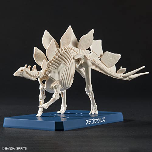 New Dinosaur Plastic Model Brand Stegosaurus