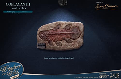 Star Ace Toys Wonders of the Wild Series Coelacanth Fossil Replica