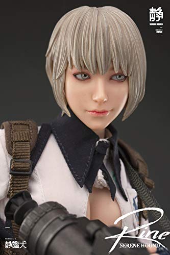 i8TOYS SERENE HOUND SERIES 501S612-N RINE 1/6 SCALE ACTION FIGURE