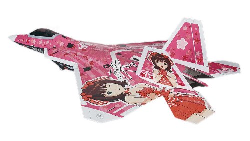 Amami Haruka (Lockheed Martin F-22A Raptor version) - 1/48 scale - The Idolmaster - Hasegawa