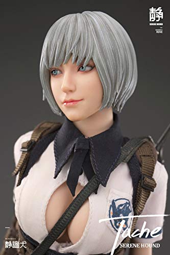 i8TOYS SERENE HOUND SERIES 501S612-S TACHE 1/6 SCALE ACTION FIGURE
