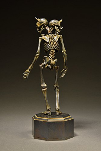 Gaikotsu (Iron Rust version) KT Project (KT-005) Revoltech Takeya - Kaiyodo