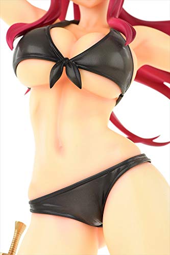 "Fairy Tail" Erza Scarlet Swimwear Gravure Style