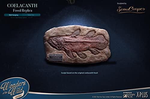 Star Ace Toys Wonders of the Wild Series Coelacanth Fossil Replica