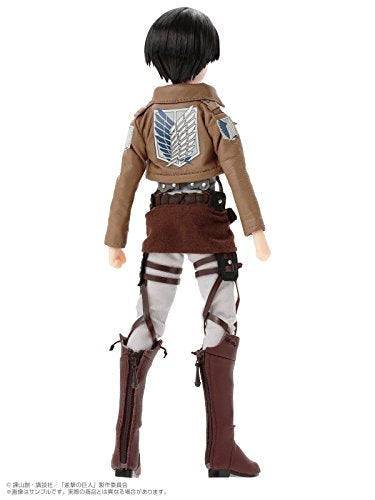 Asterisk Collection Series No. 013 "Attack on Titan" Levi