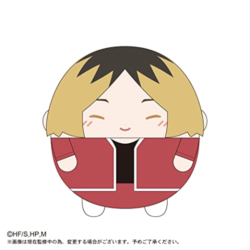 HQ-29 "Haikyu!!" Fuwakororin Big Special E Kozume Kenma