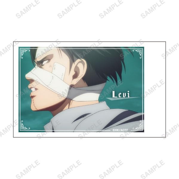 "Attack on Titan The Final Season" -Favorite Series- Instax Style Card Levi