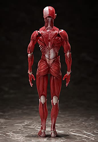 "The Table Museum" figma#SP-142 Human Anatomical Model