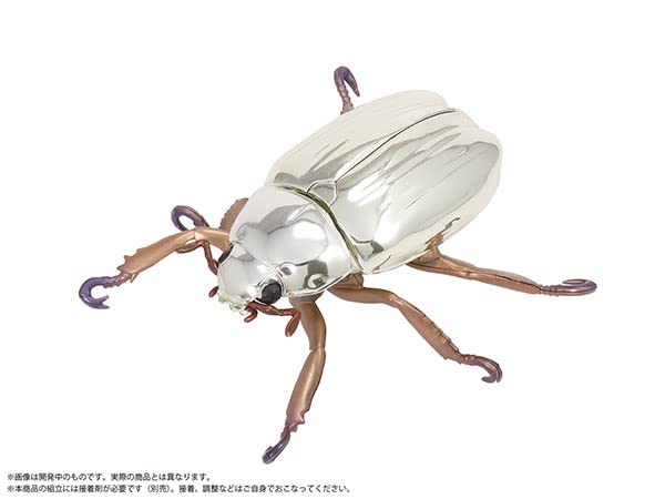 Platinum Scarab Beetle (Chrysina Limbata)