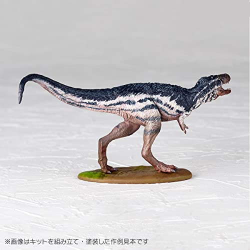 ARTPLA Researcher & Tyrannosaurus Set