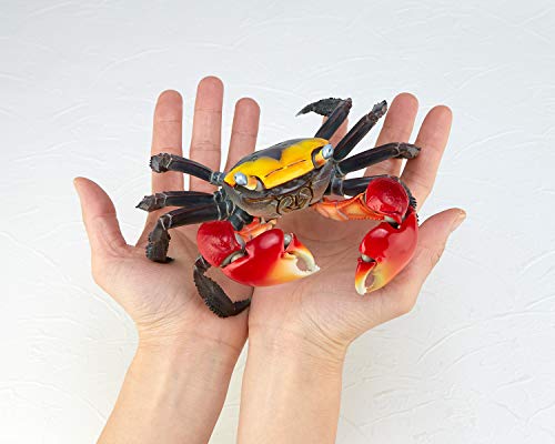 Red Claw Crab Revoltech - Kaiyodo