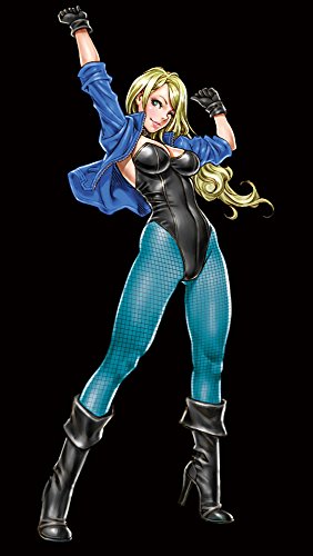 Black Canary 1/7 Black Canary - Kotobukiya