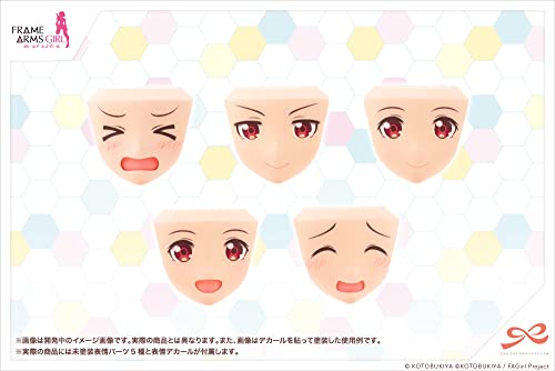Sousai Shojo Teien x "Frame Arms Girl" After School Gourai Birthday Set