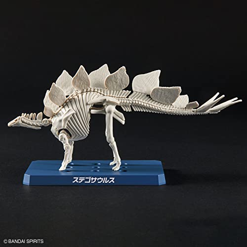 New Dinosaur Plastic Model Brand Stegosaurus