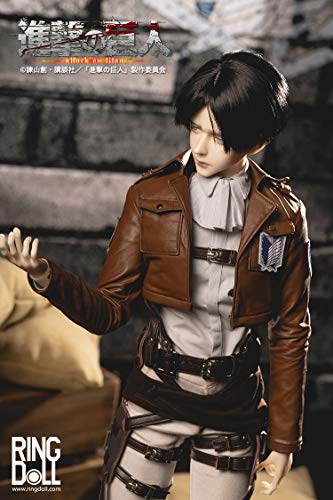 RingDoll "Attack on Titan" BJD Doll Levi Ackerman