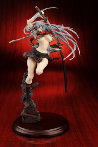 Chouun Shiryuu - 1/6 scale - Ikki Tousen Xtreme Xecutor - Aizu Project