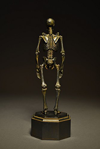 Gaikotsu (Iron Rust version) KT Project (KT-005) Revoltech Takeya - Kaiyodo
