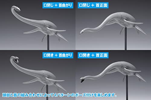 Futabasaurus suzukii