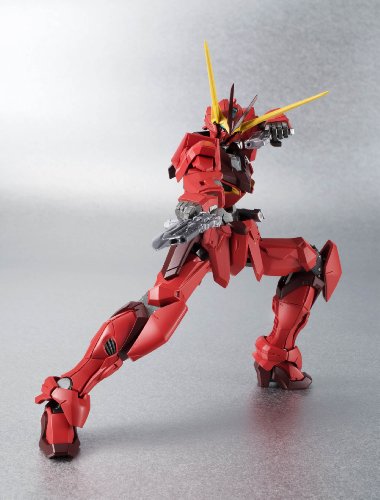 ZGMF-X12A Testament Gundam Robot Damashii <Side MS> Kidou Senshi Gundam SEED Destiny Astray - Bandai