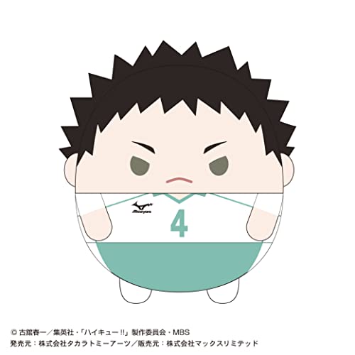 HQ-28 "Haikyu!!" Fuwakororin (M Size) 4 B Iwaizumi Hajime