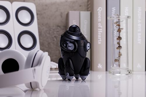 MARUTTOYS MAMORU Black Ver.