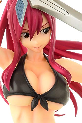 "Fairy Tail" Erza Scarlet Swimwear Gravure Style