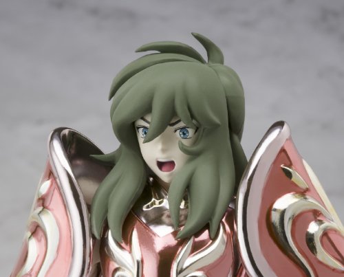 Saint Cloth Myth Andromeda Shun Divine Cloth -10th Anniversary Edition-