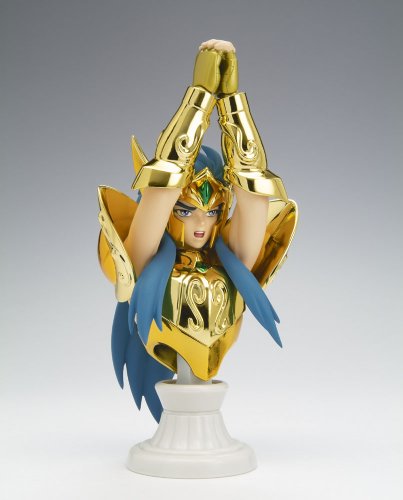 Saint Cloth Myth APPENDIX Aquarius Camu